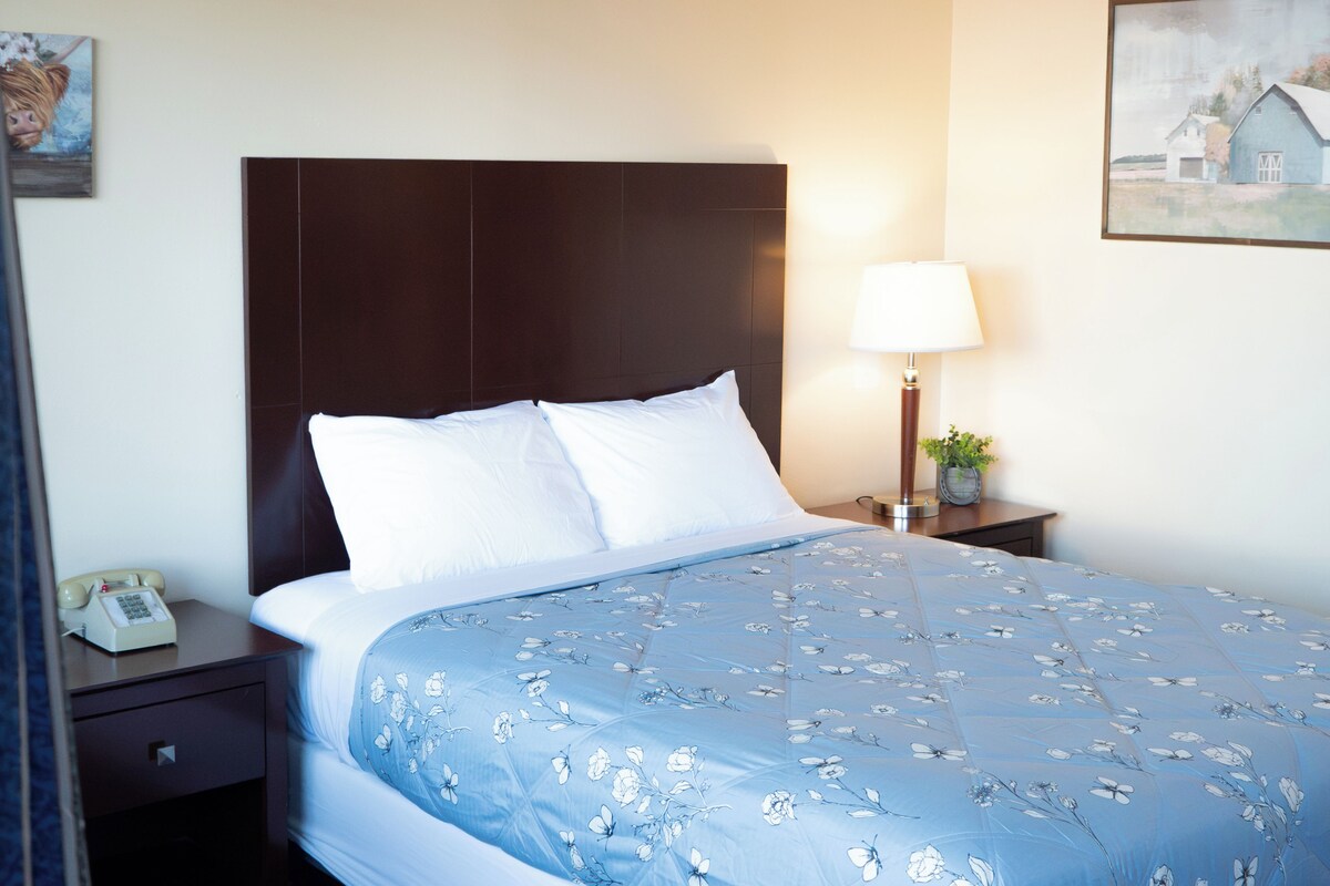Quarto standard, 1 cama Queen, para não fumantes | Escrivaninha, ferros/tábuas de passar roupa, Wi-Fi de cortesia
