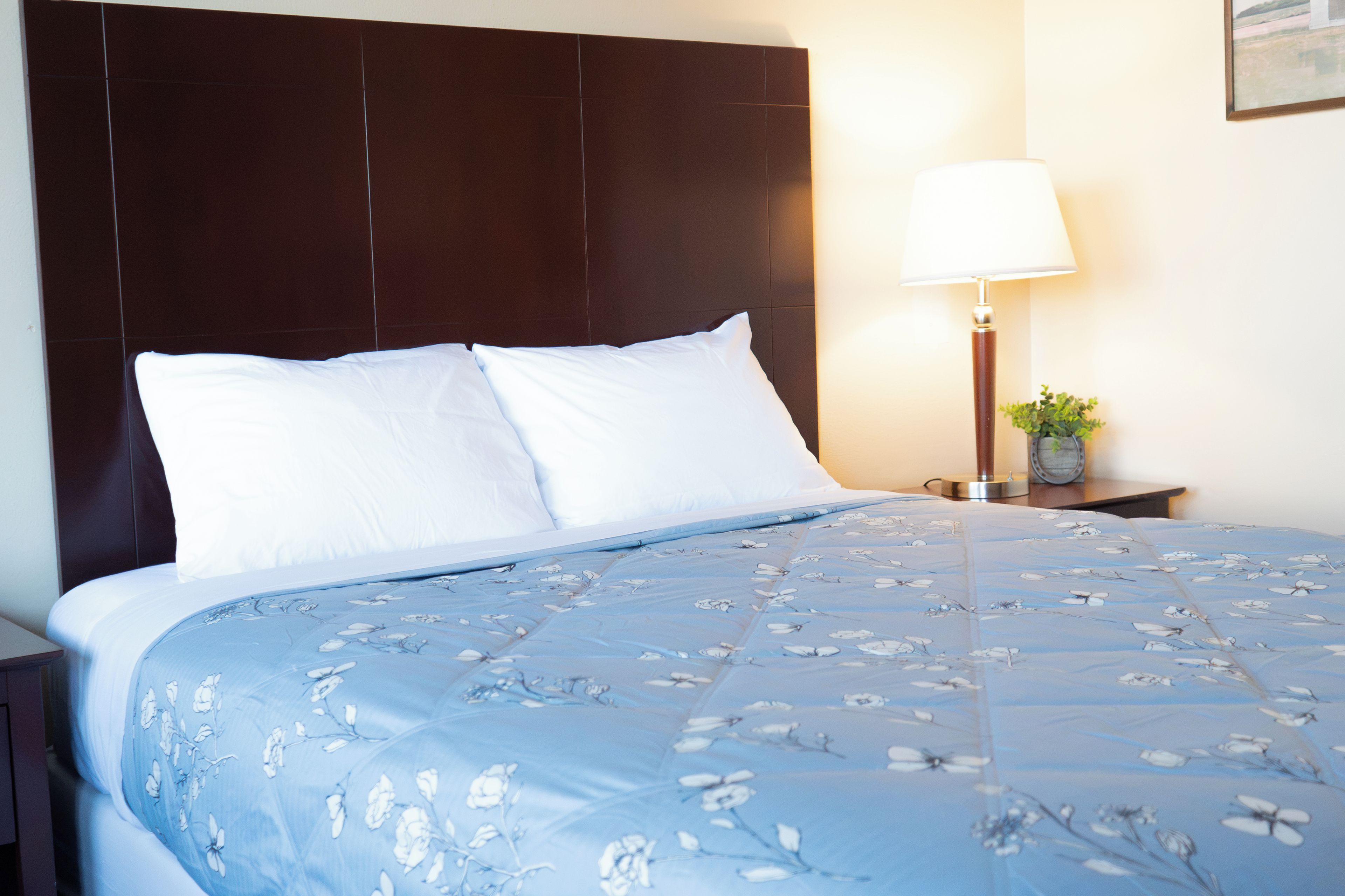 A neatly made bed with a floral-patterned bedspread and two pillows, a bedside lamp, and a small plant on a nightstand.