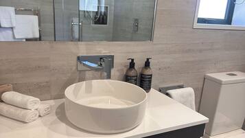 Eco-friendly toiletries, hair dryer, towels