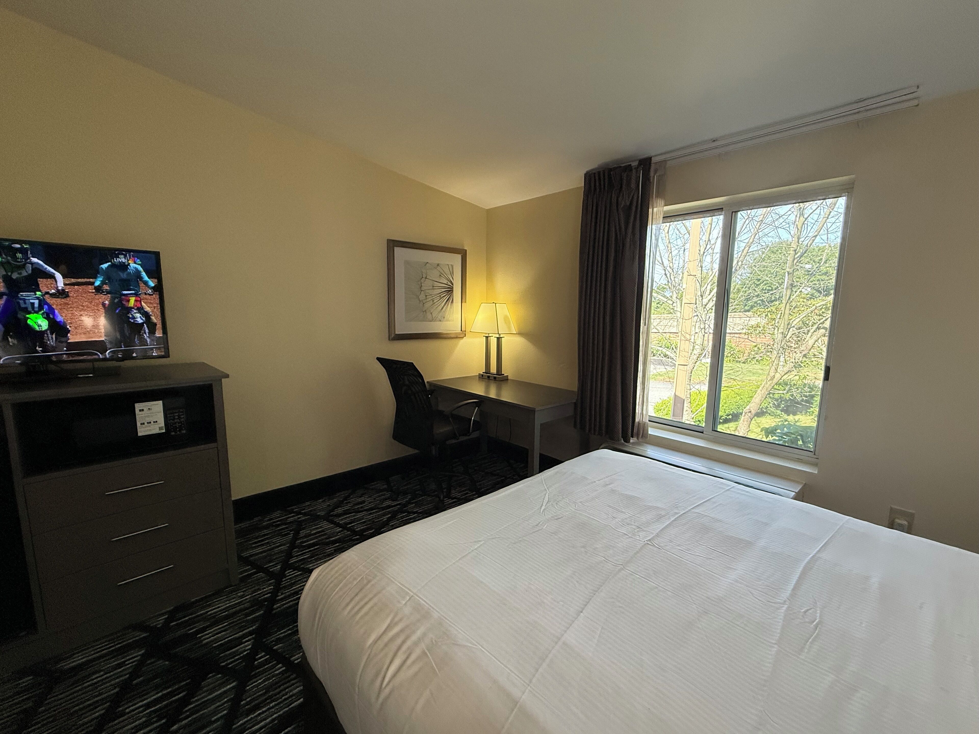 A hotel room with a bed, a desk, a chair, a TV, and a window with a view of trees.