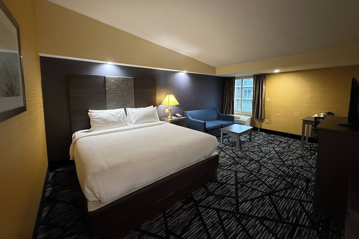Room, 1 King Bed