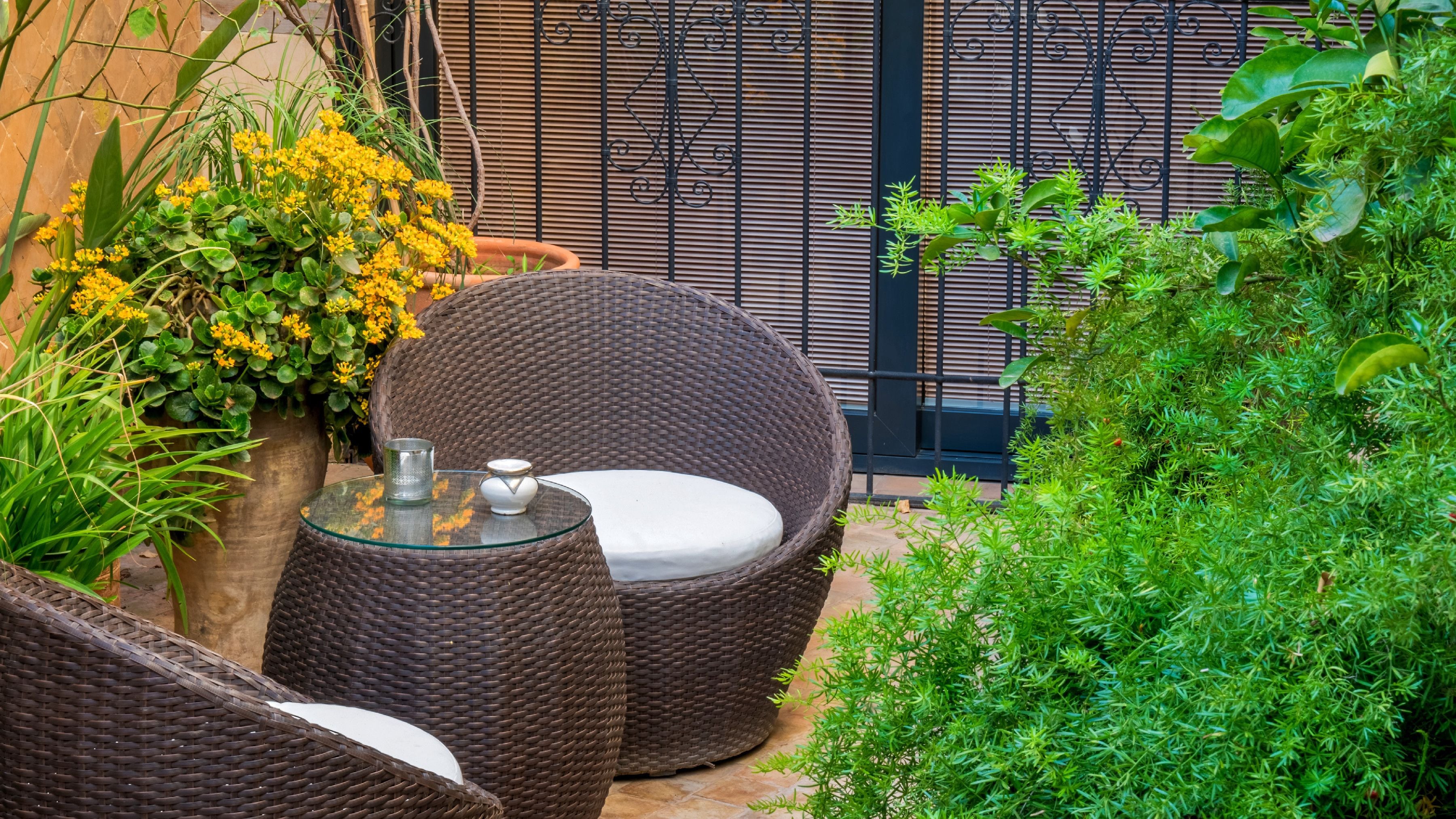 Vista desde la habitación