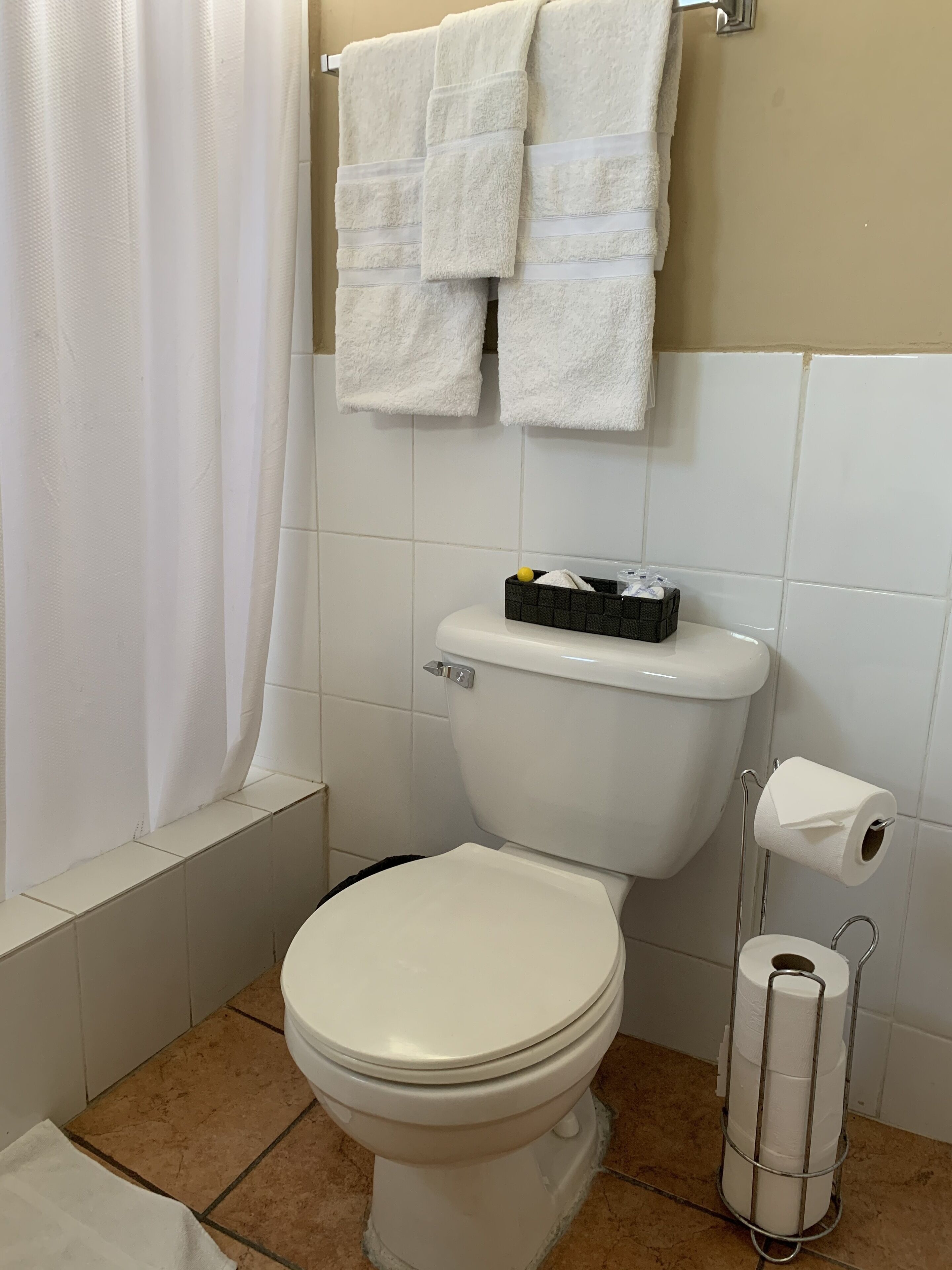 double room (deluxe queen room) | bathroom | shower, free toiletries, hair dryer, towels