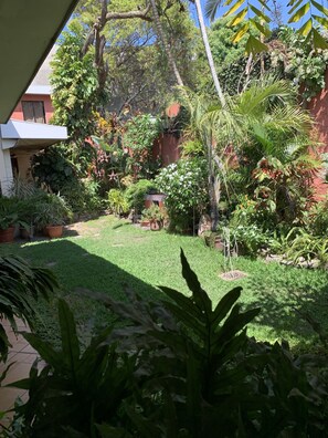 Garden view