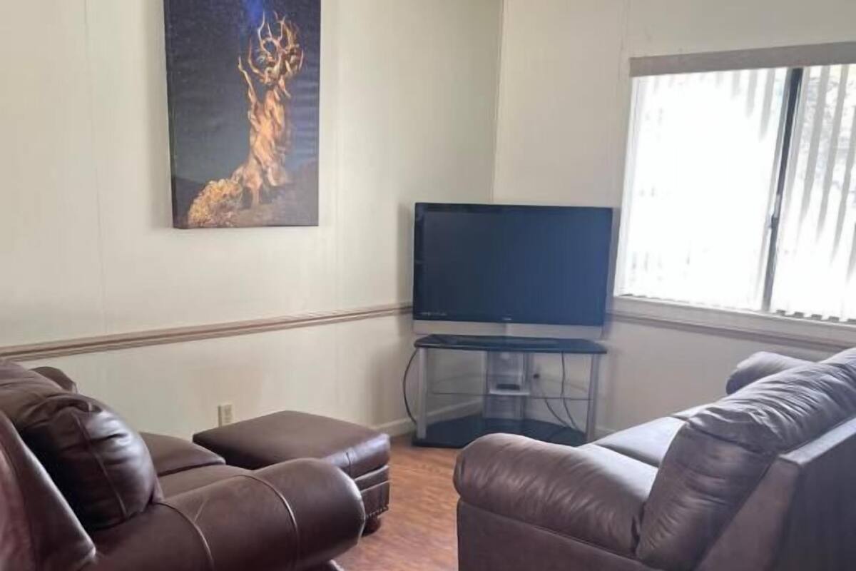 A living room with two leather sofas, a flat-screen TV on a stand, and a painting on the wall.