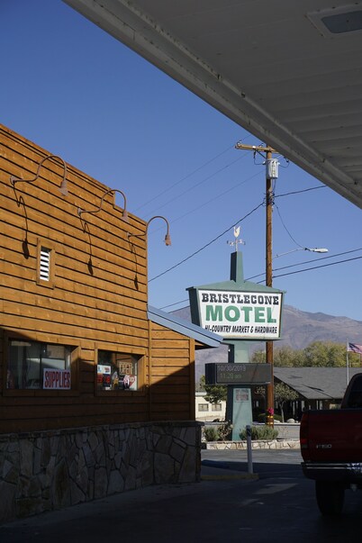 Bristlecone Motel