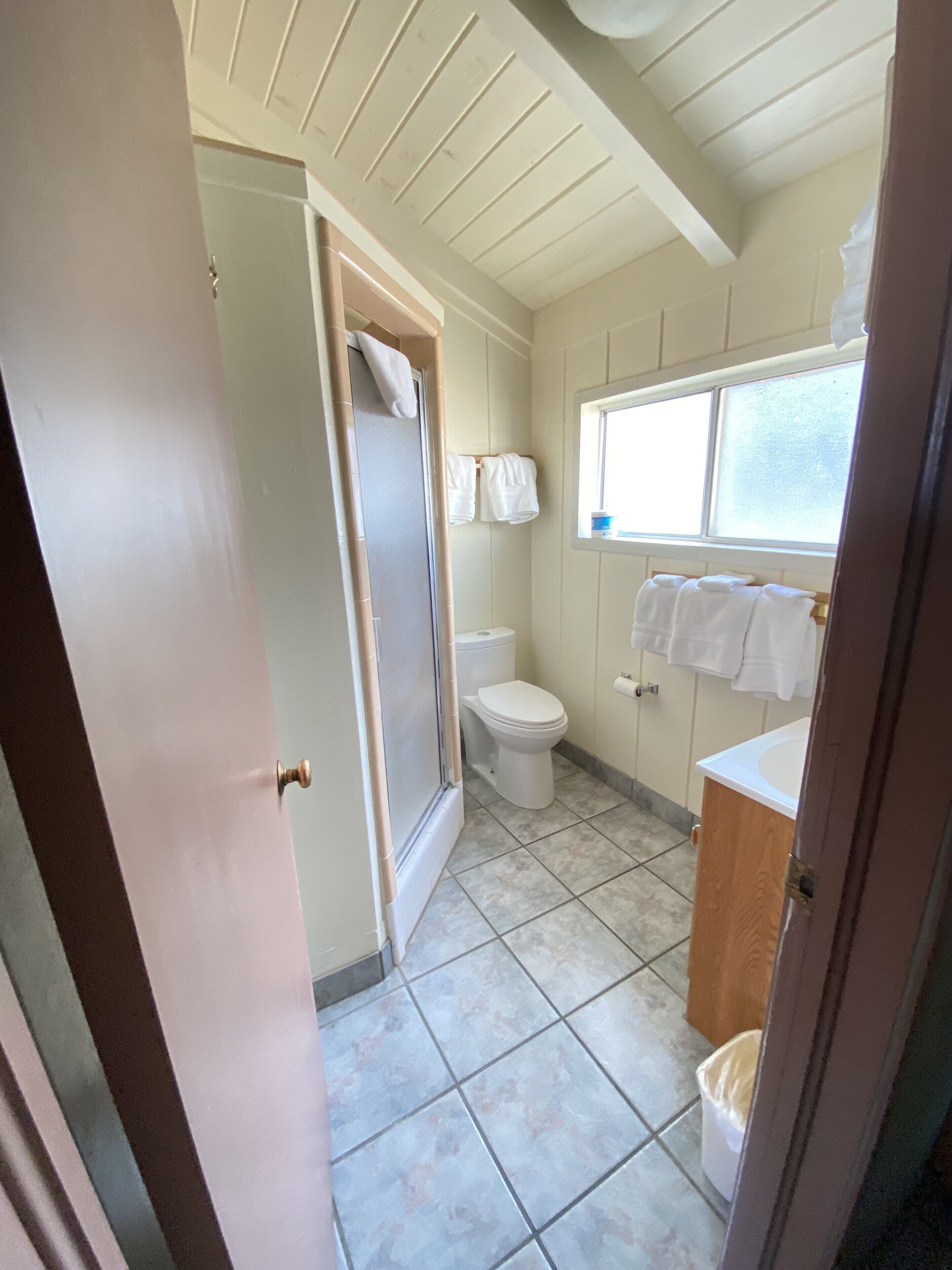 Une salle de bain avec des toilettes, une douche et un lavabo.