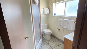 Une salle de bain avec des toilettes, une douche et un lavabo.