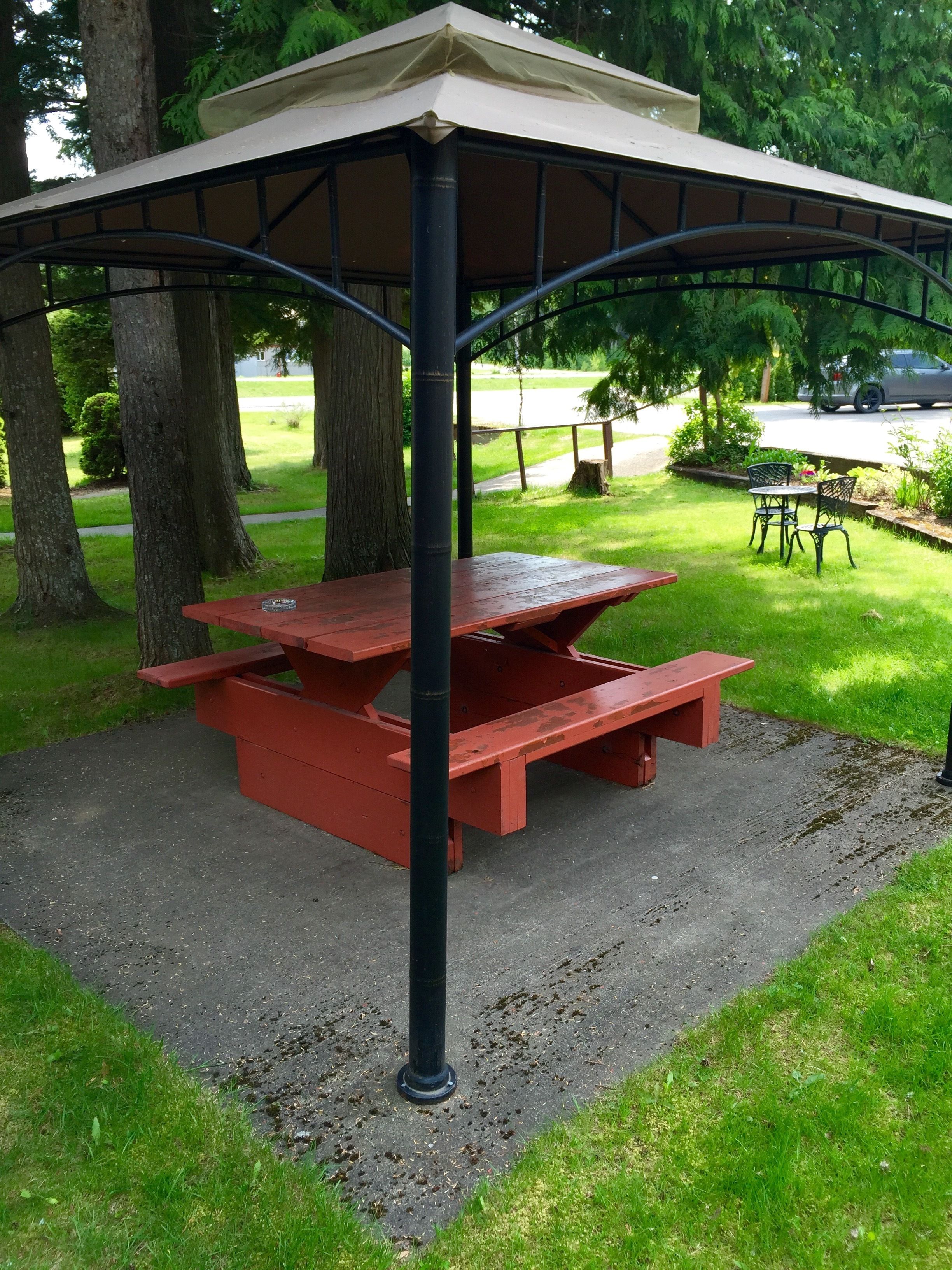 A picnic table under a shelter with a concrete base, surrounded by grass and trees.