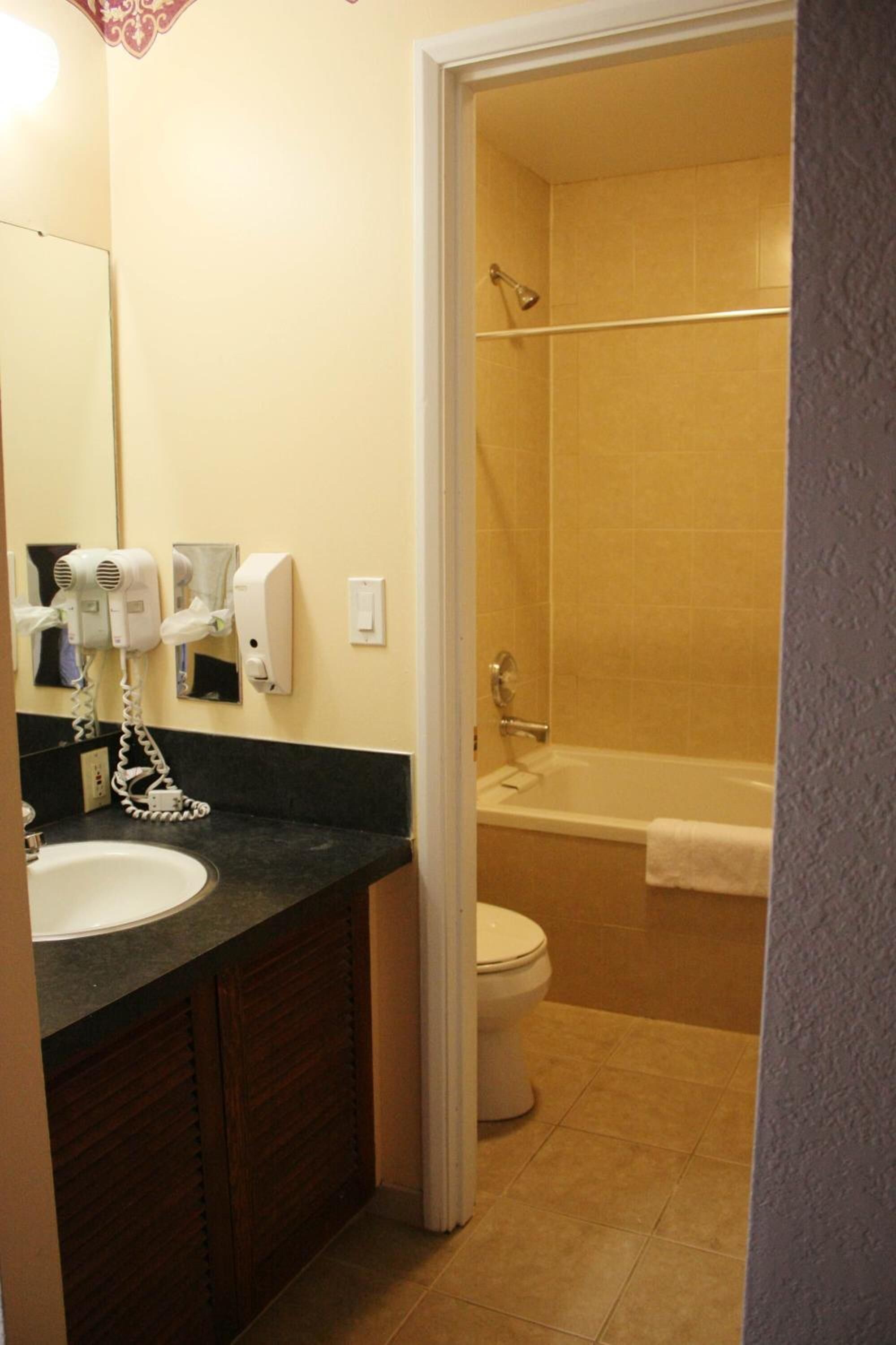 A bathroom with a sink, mirror, hair dryer, and towel rack.