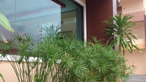 Fachada de un edificio con una serie de plantas en macetas frente a un ventanal.
