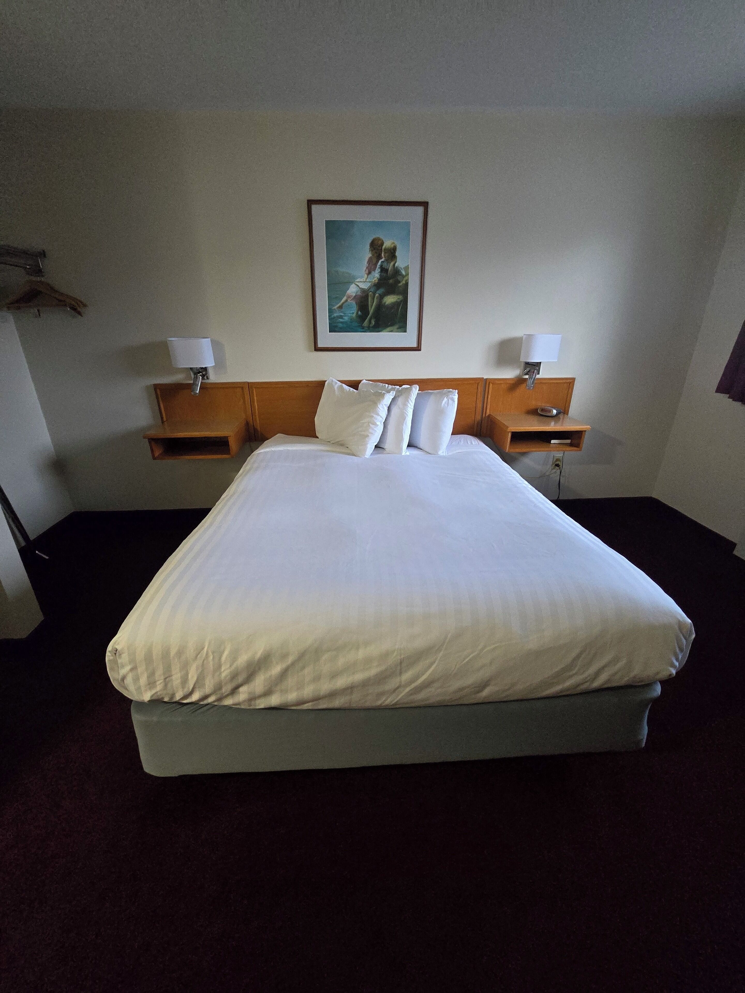 Habitación de hotel con una cama grande, dos mesitas de noche con lámparas, un cuadro enmarcado en la pared y un cabecero de madera.