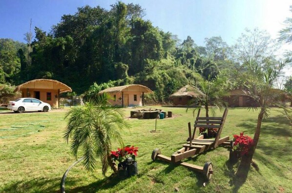 Garden - Baan Din Chiangdao (Chiang Dao)