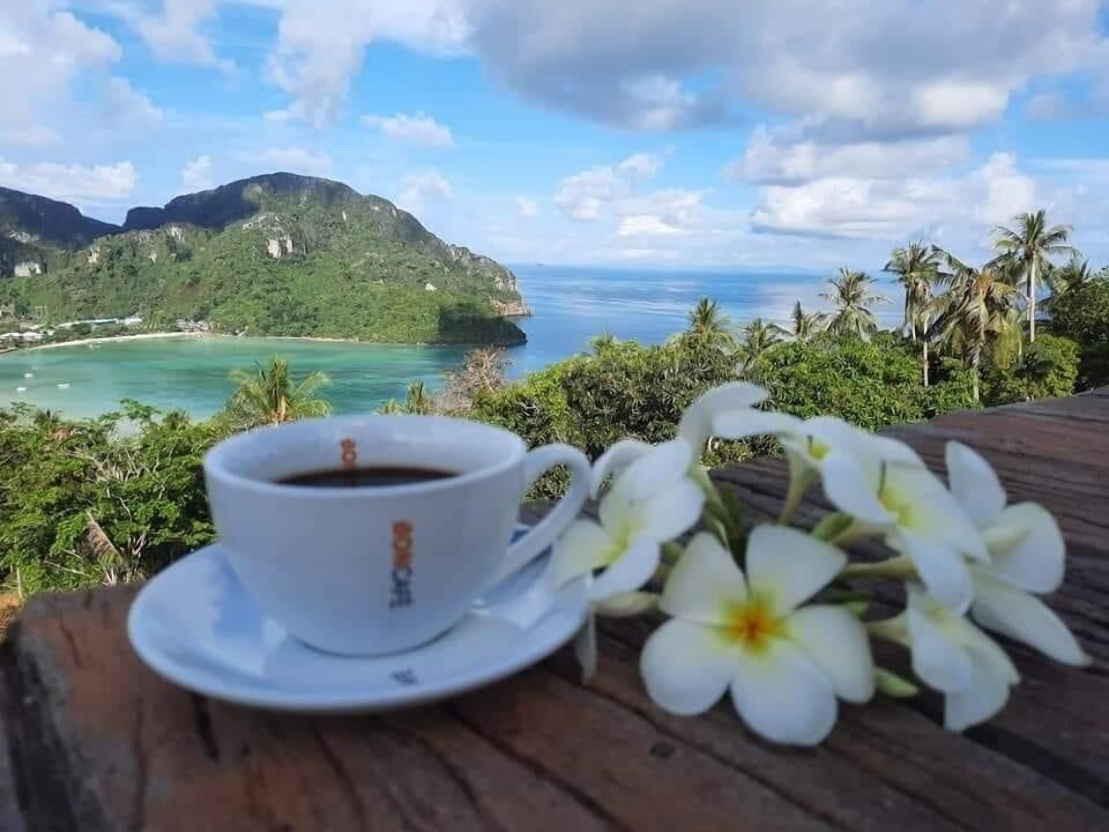 Une tasse de café et des fleurs blanches sur une table en bois, avec une vue panoramique sur un paysage côtier.