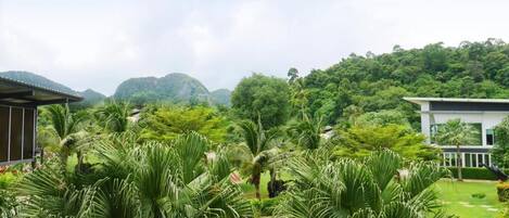 Un jardin luxuriant, avec des palmiers et une vue sur une chaîne de montagnes.
