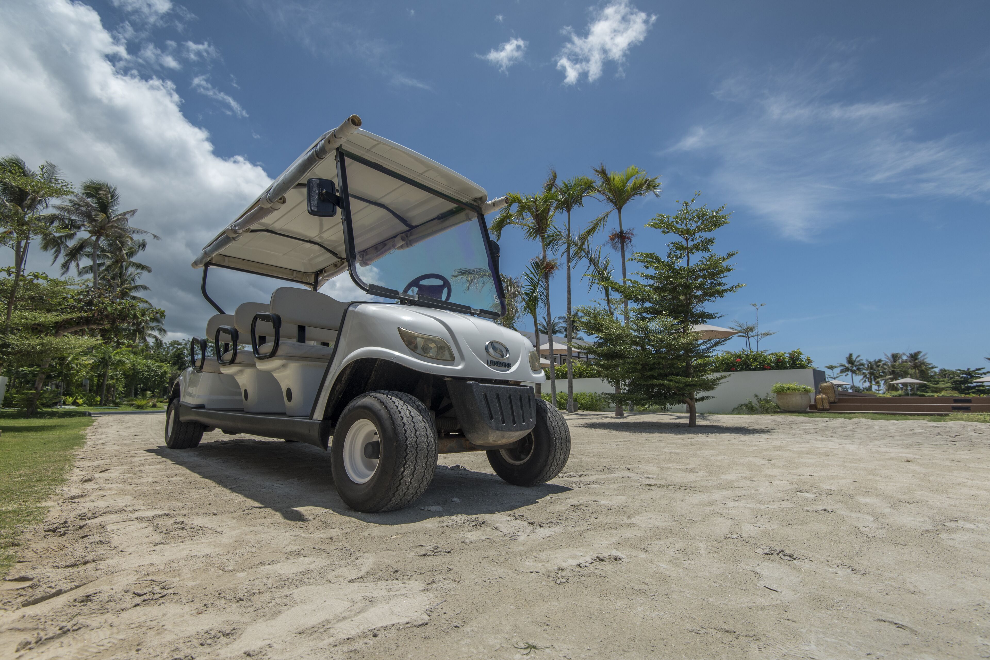 Un carrito de golf estacionado sobre arena, con palmeras y un cielo despejado al fondo.