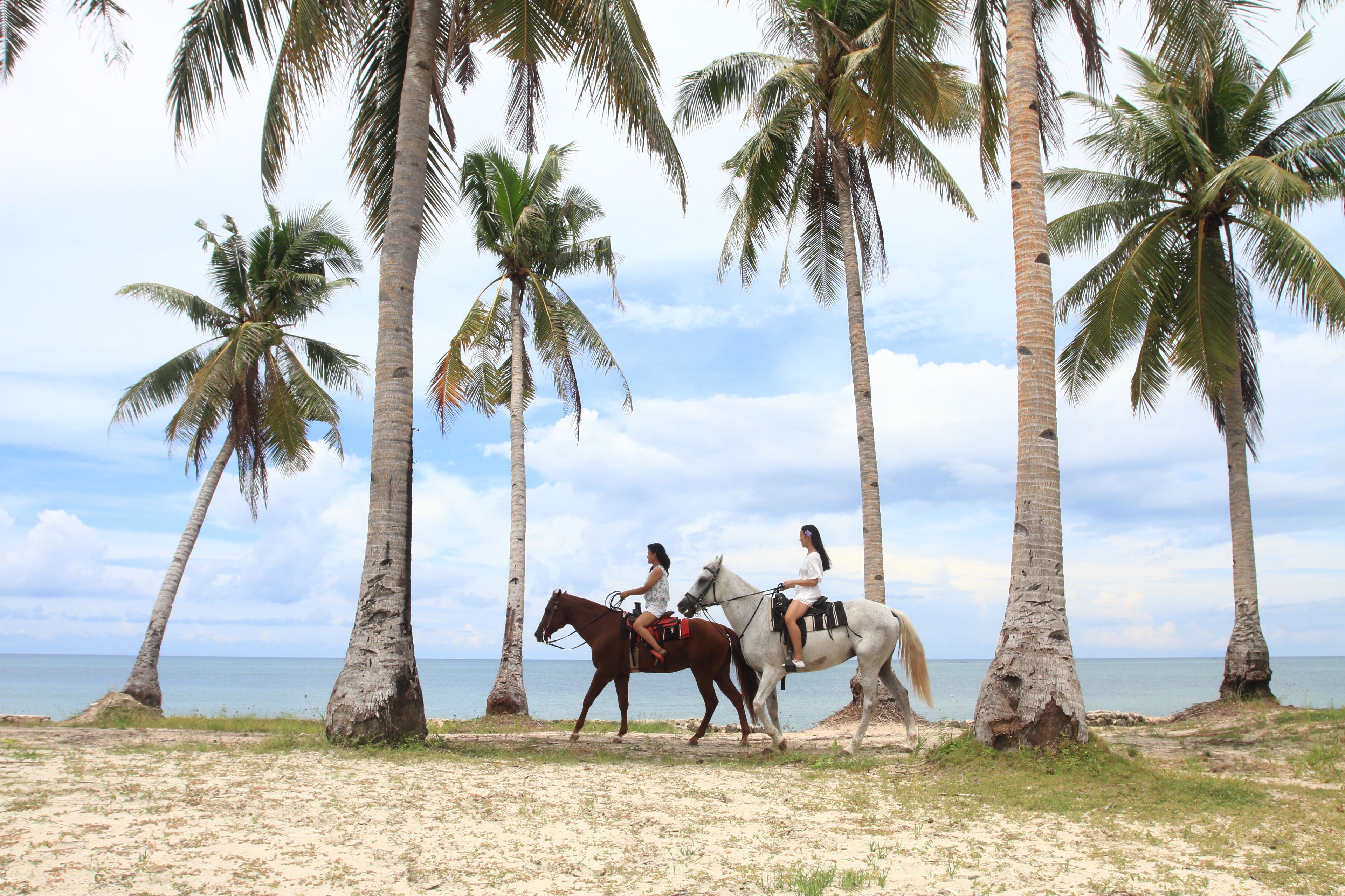 Two people riding horses on a beach with palm trees and the ocean in the background.