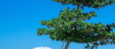 Playa privada, playa de arena blanca, camastros y sombrillas 