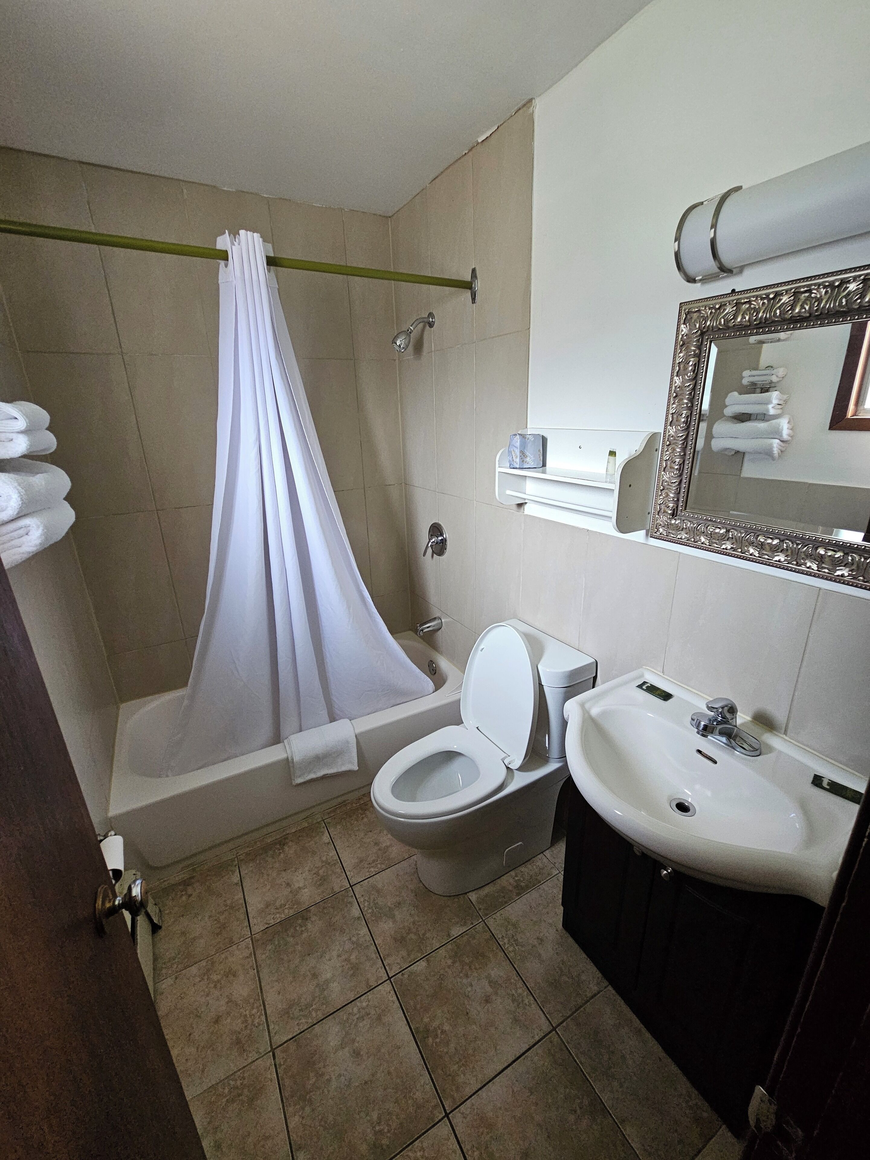 Traditional Room, 1 King Bed, Non Smoking