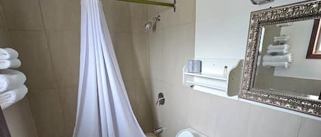 Traditional Room, 1 King Bed, Non Smoking