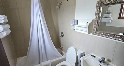 Forest Plaza Motel