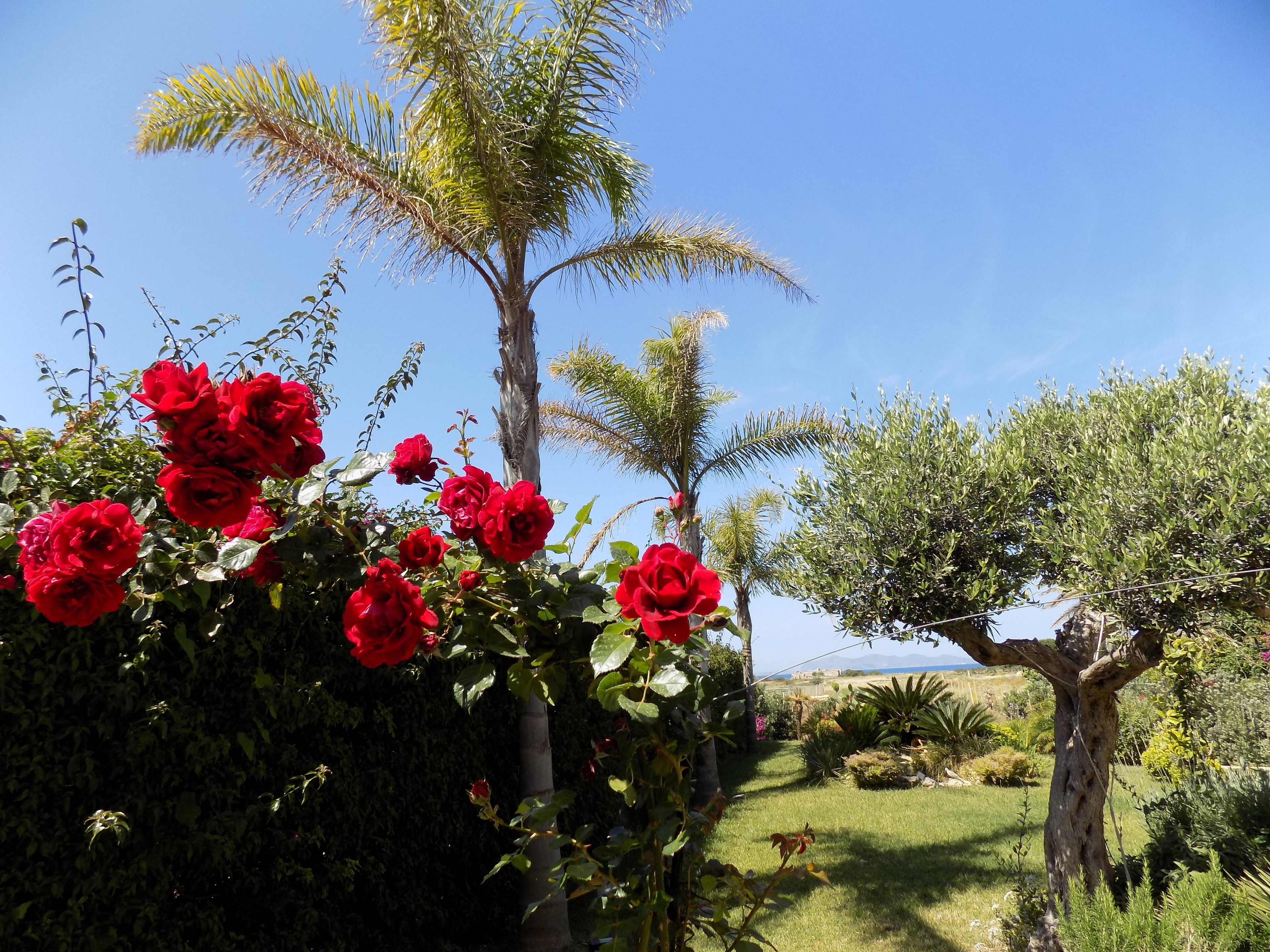 Photo - - Vista Egadi -