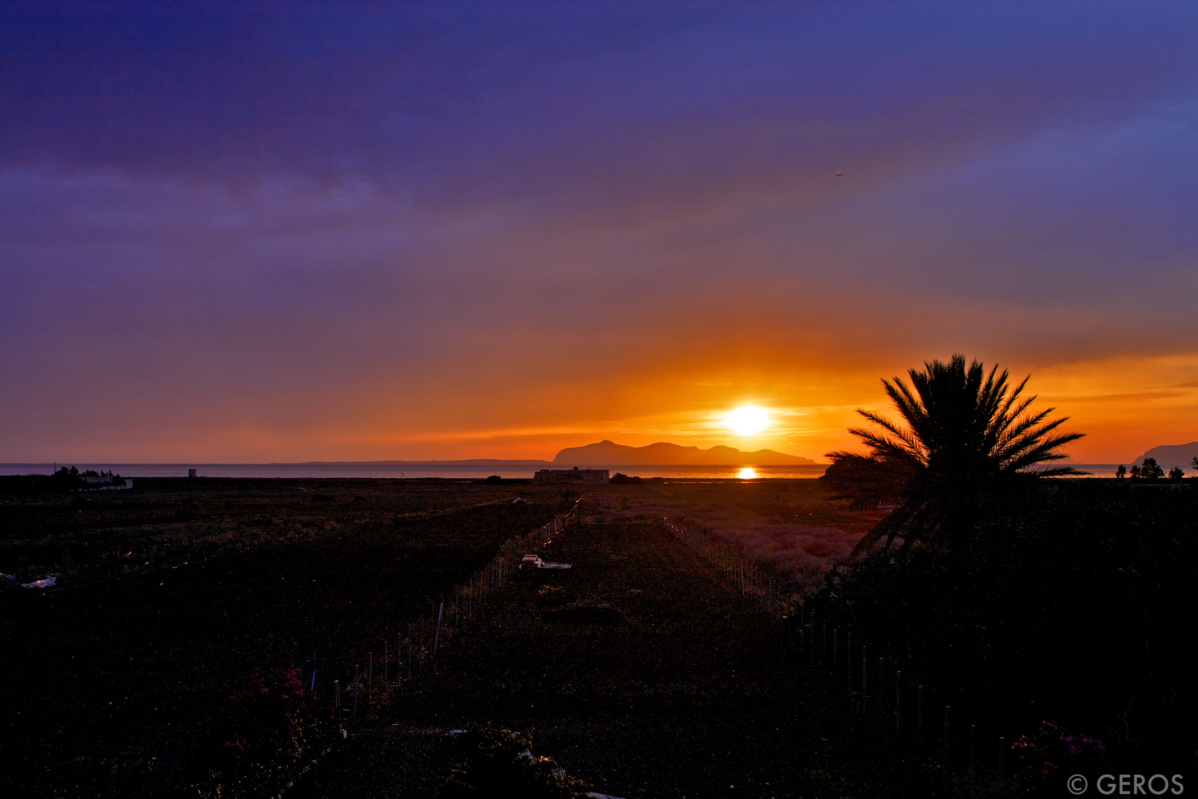 A sunset over a coastal landscape with a palm tree silhouette.