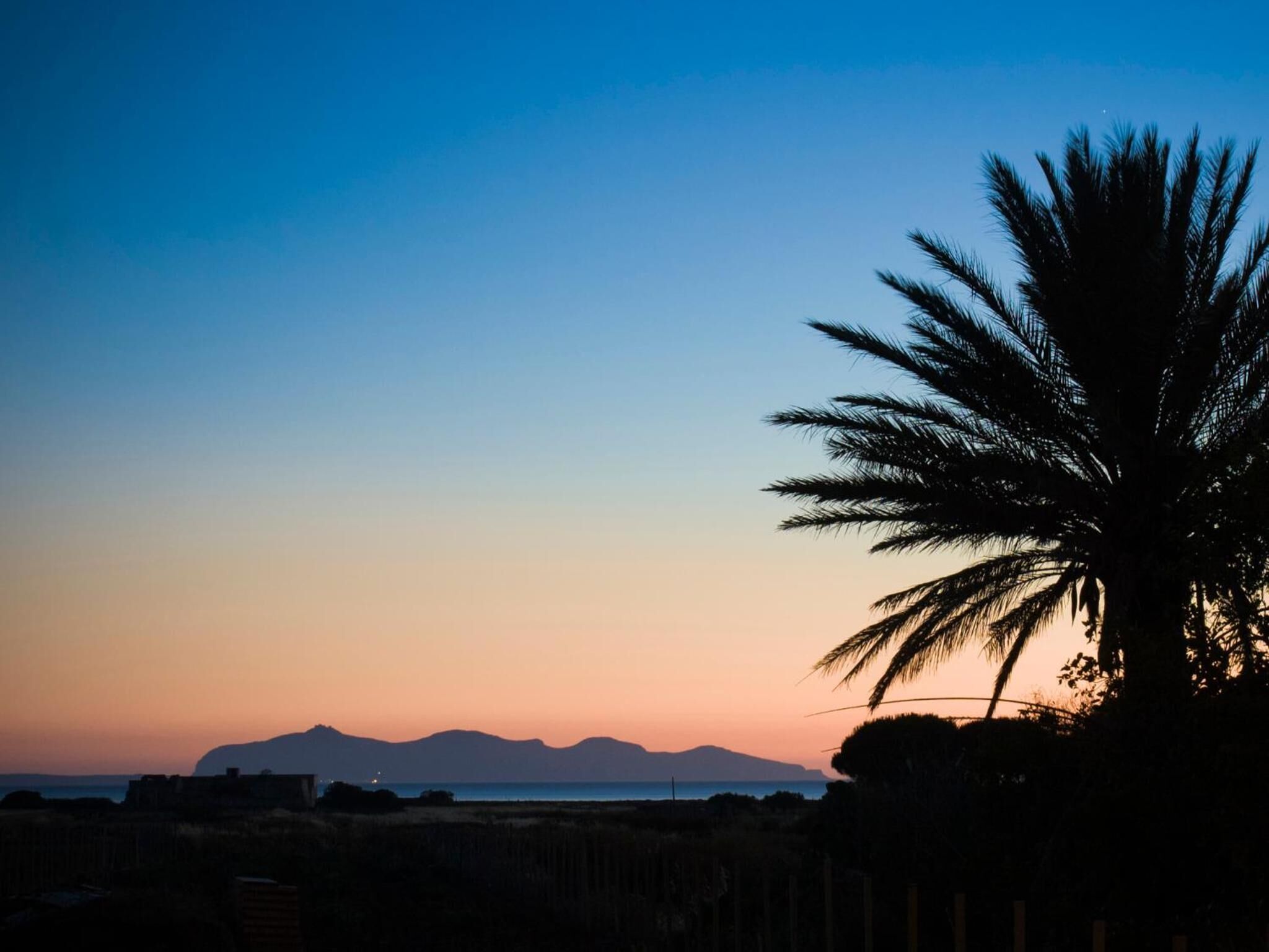 A sunset view with a palm tree silhouette and distant mountains.