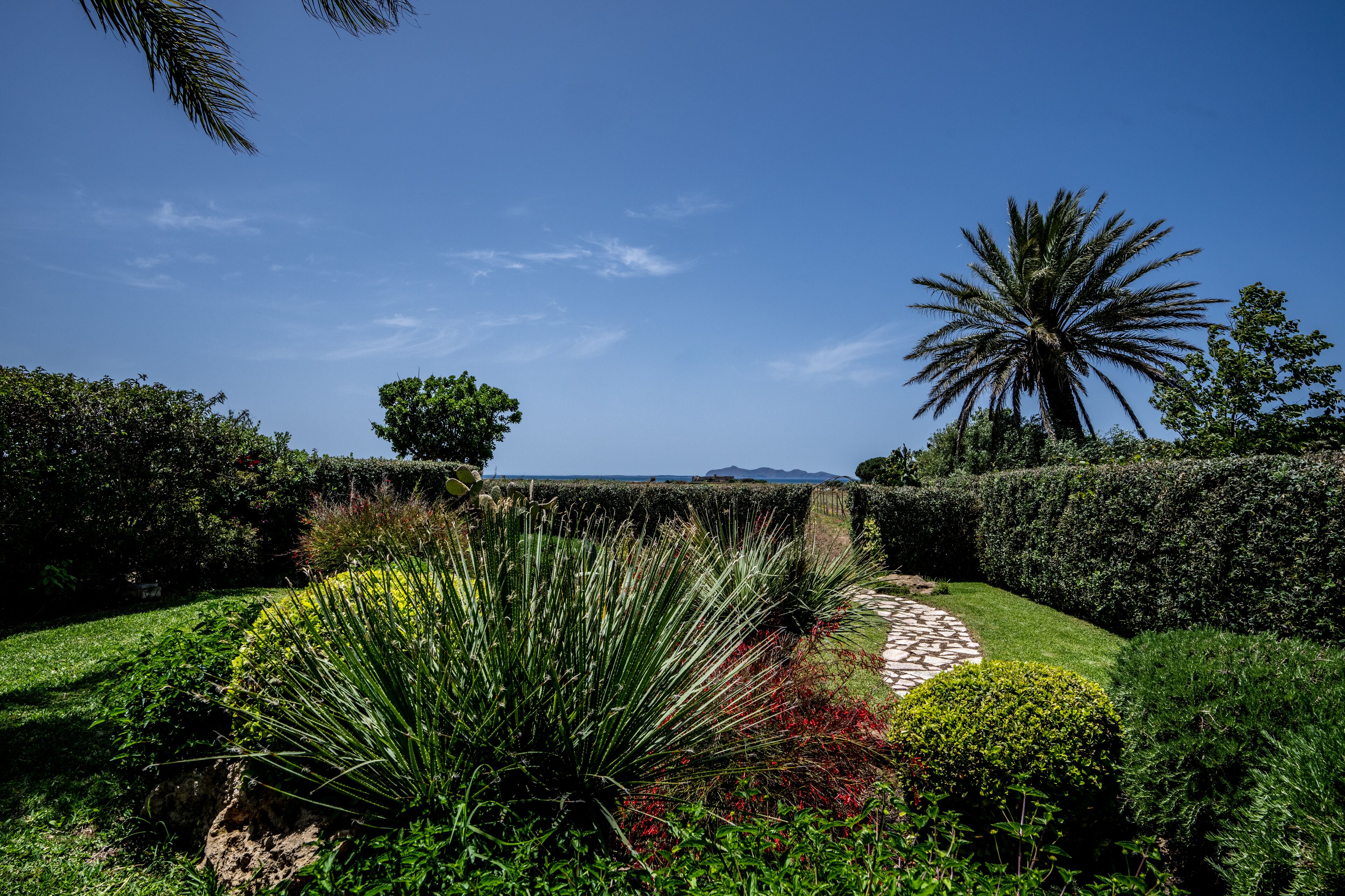 A landscaped garden with a stone pathway, various plants, and a palm tree.