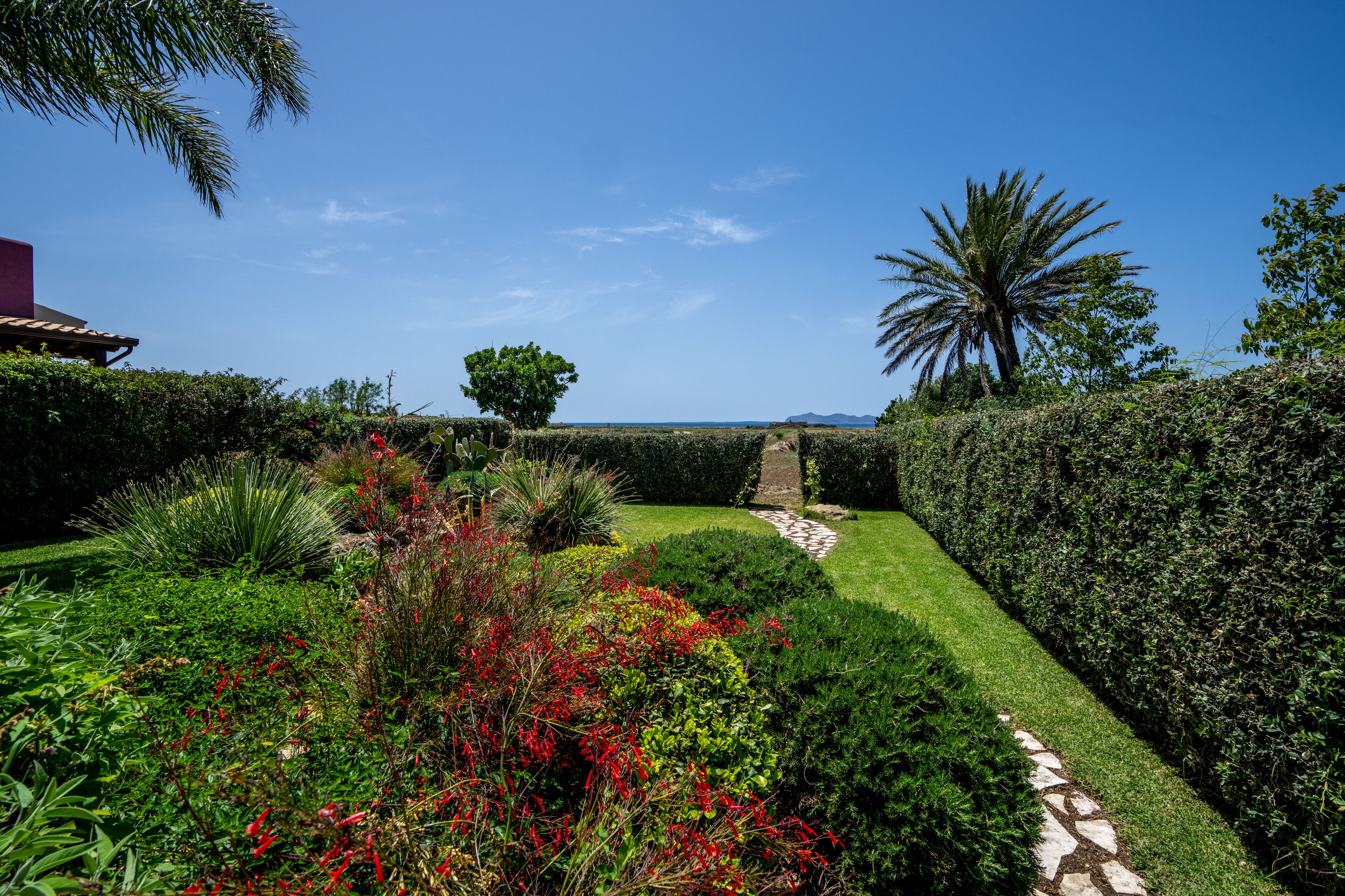 A well-maintained garden with a stone pathway, various plants, and a palm tree.