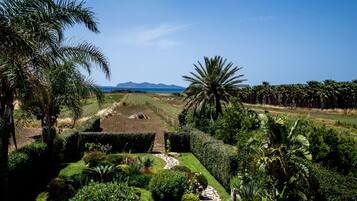 Premium bedding, desk, cribs/infant beds, travel crib