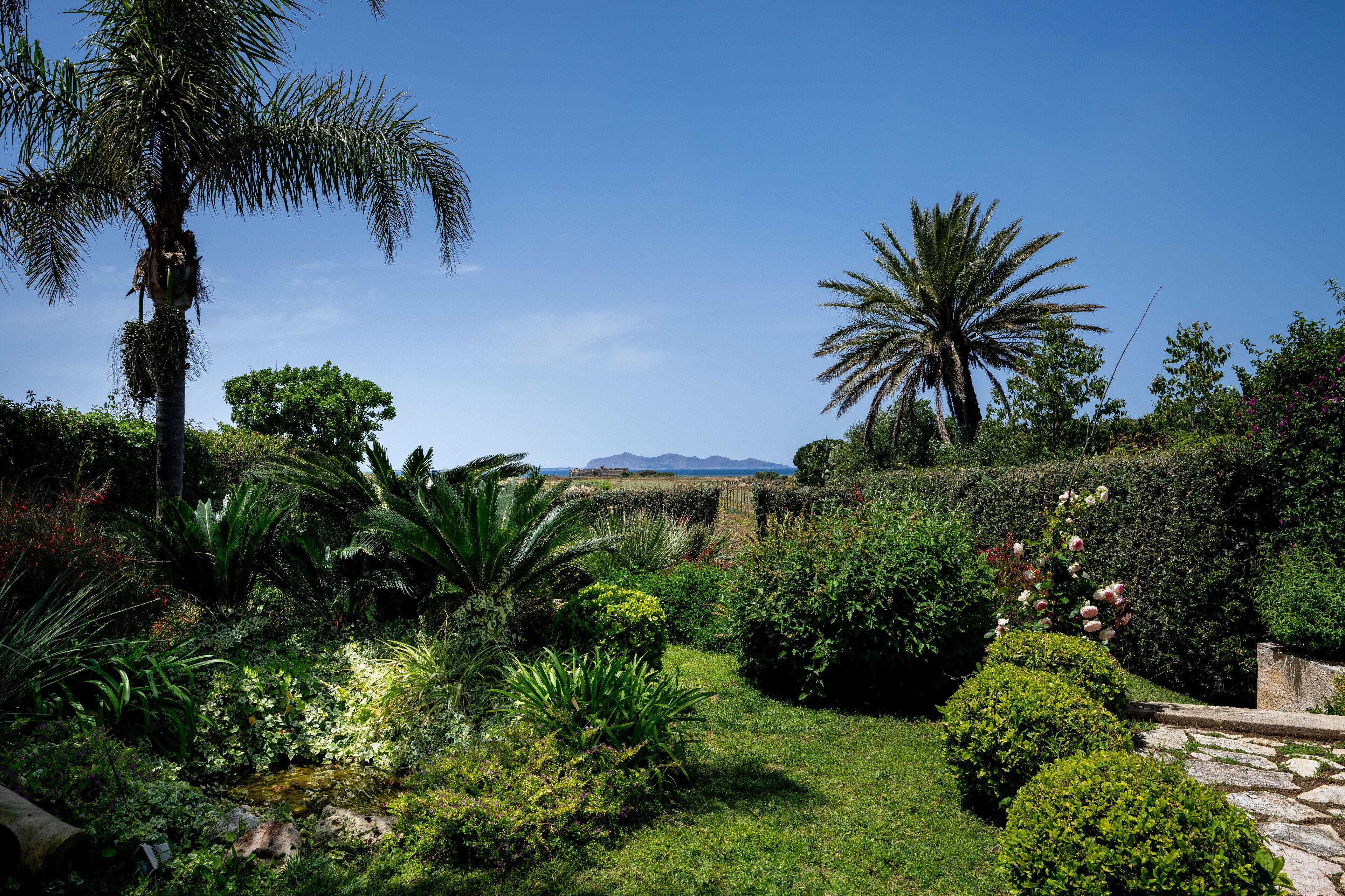 Un jardin luxuriant, avec une variété de plantes et un sentier en pierre.