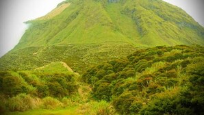 A mountain with a lush green landscape. - GV Hotel Ipil (Ipil)