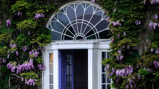 Entrada de un edificio con una puerta blanca y un ventanal en forma de abanico, rodeada de exuberante follaje y flores moradas.