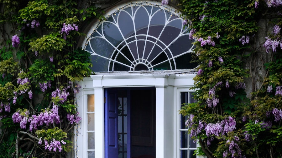 Ballymaloe House Hotel