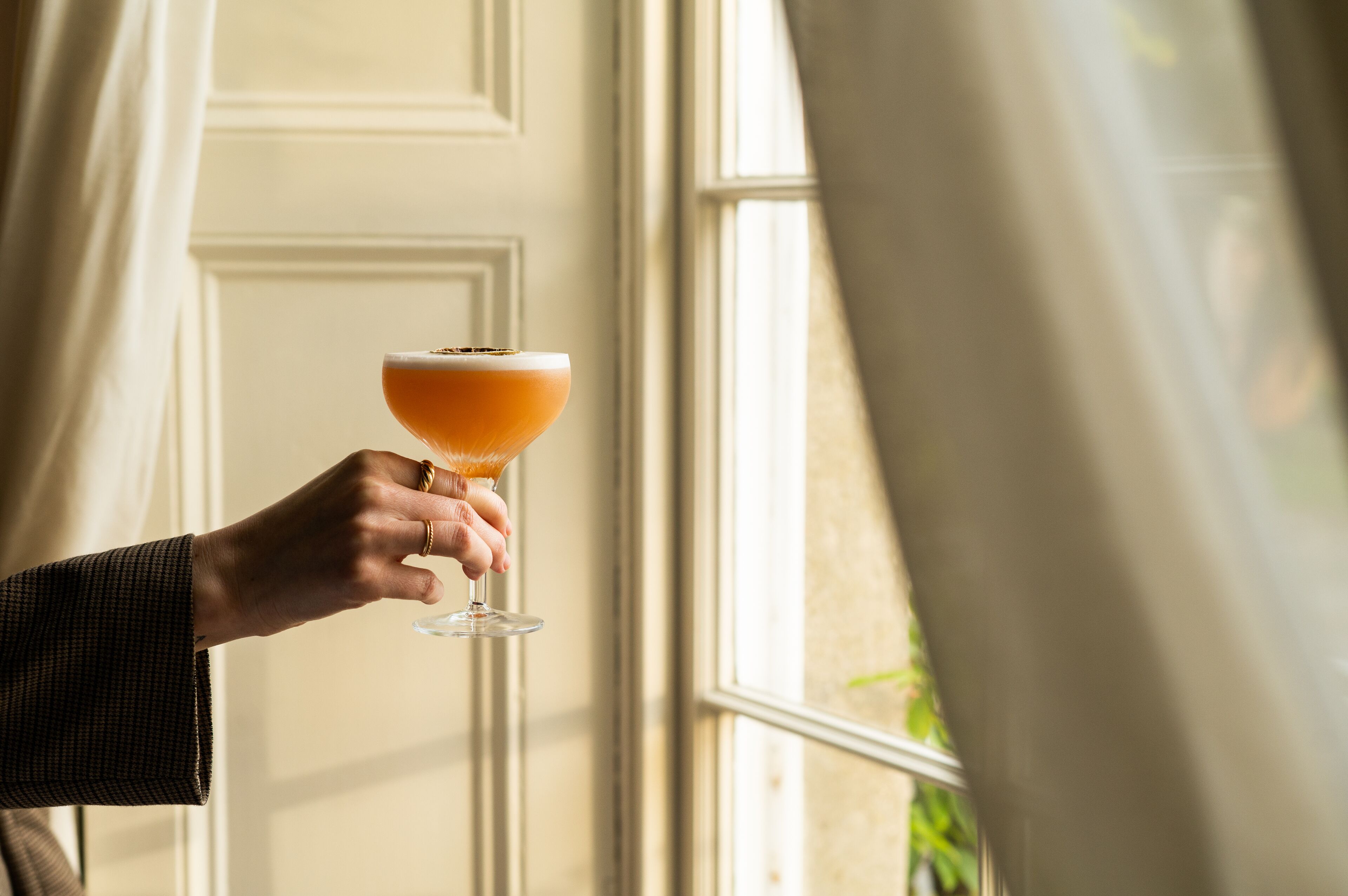A hand holding a cocktail glass near a window with a view of greenery outside.