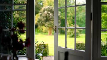 A view through a window with a door, a garden, and a metal chair.