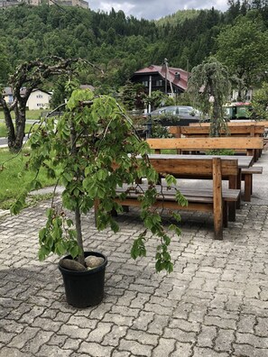 Tuin
