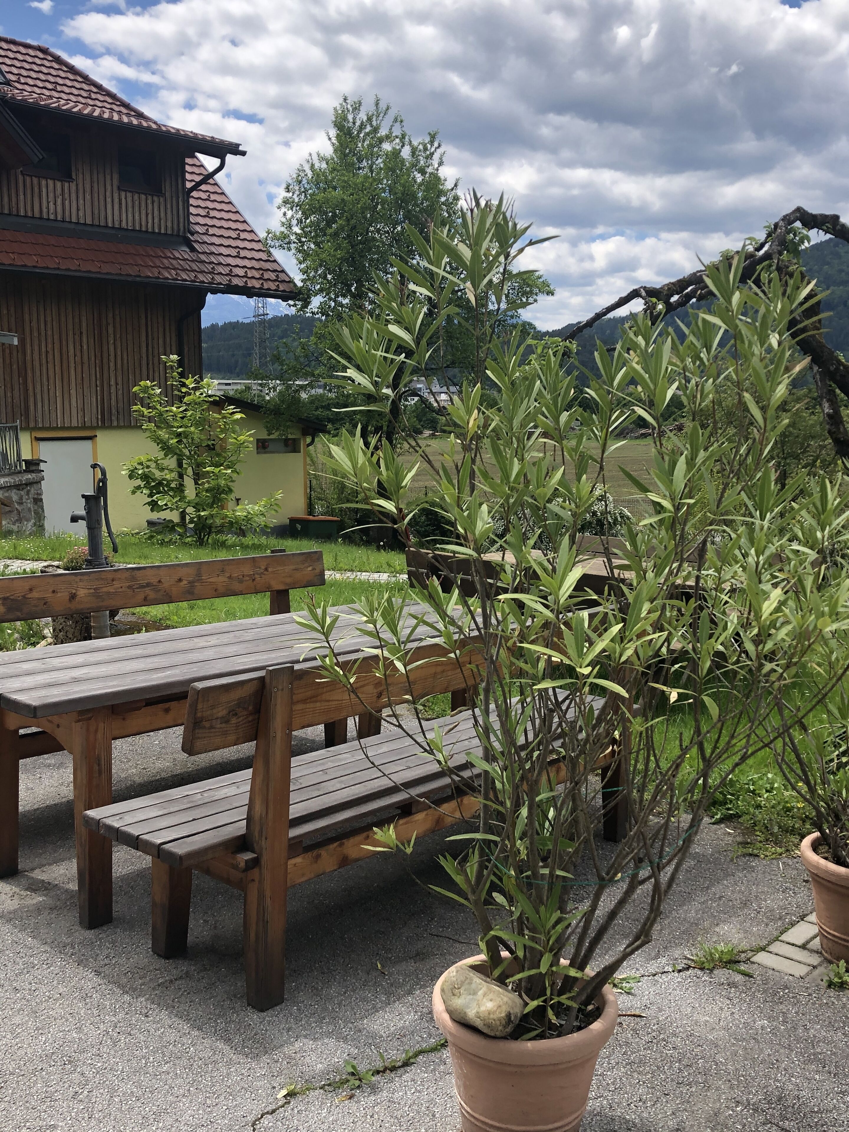 A wooden bench and table set outdoors with potted plants.