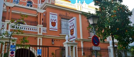 Vista frontal de la propiedad