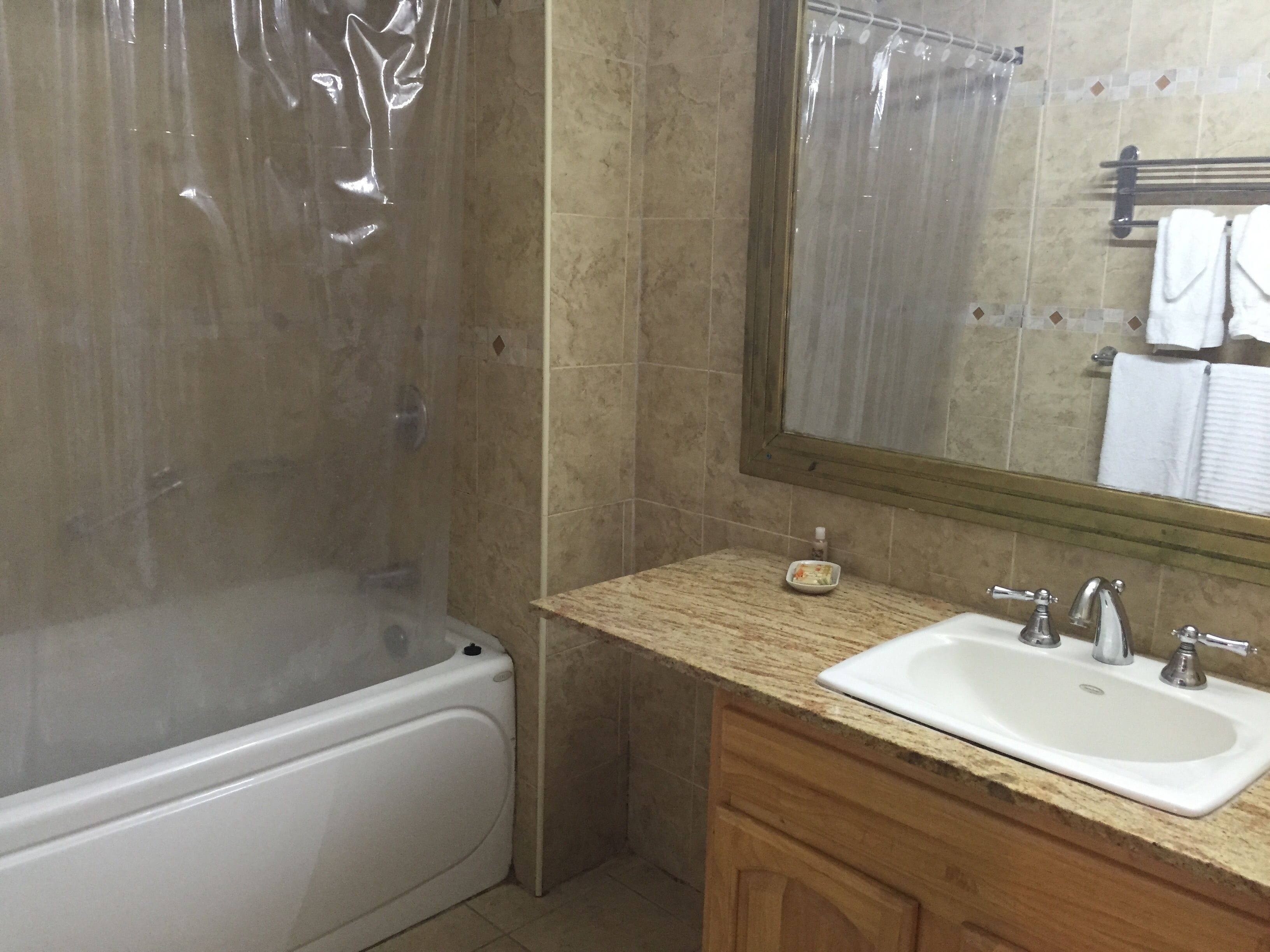 combined shower/bathtub, hair dryer, towels
