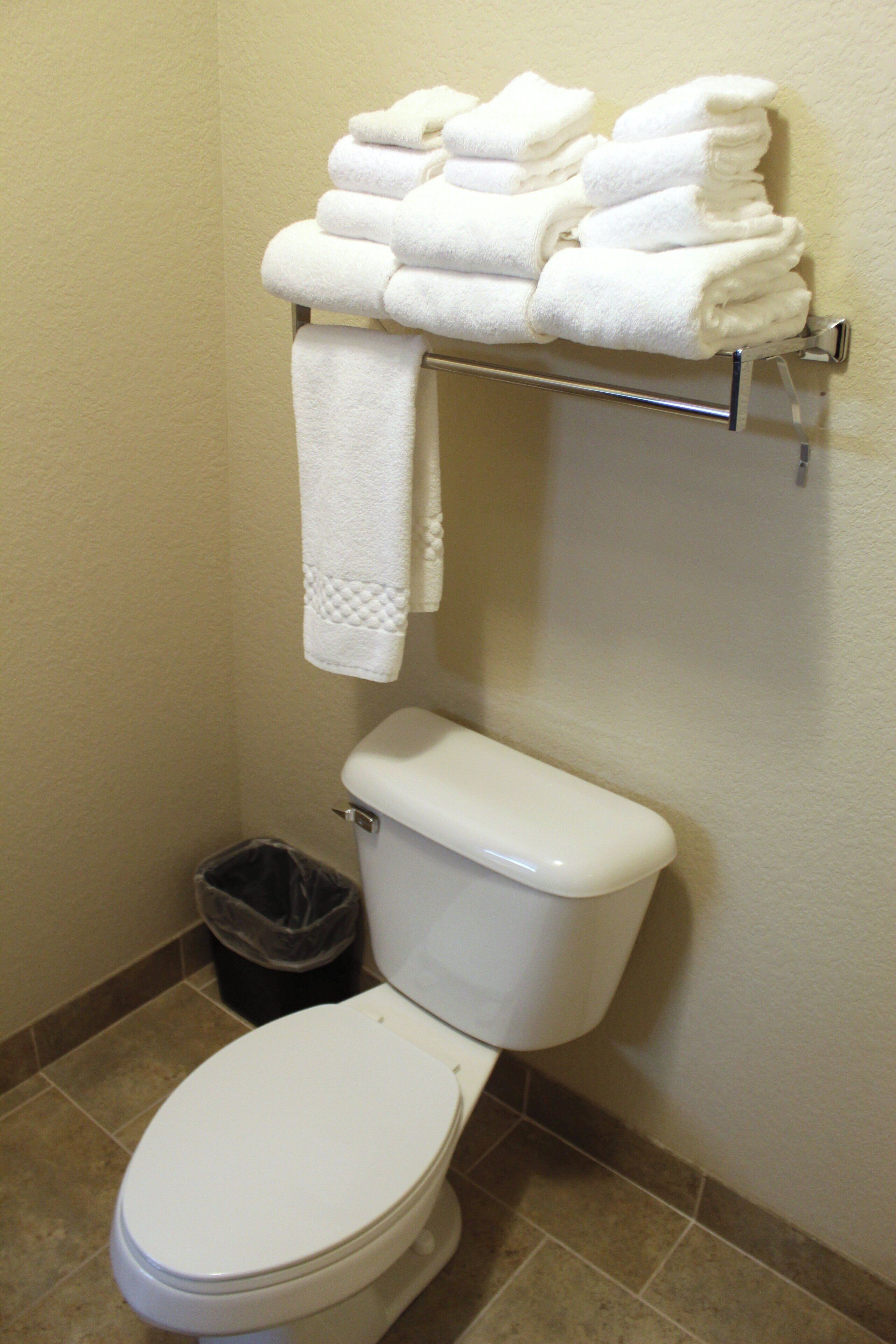 Un baño con inodoro, un cubo de basura y un perchero con toallas dobladas.