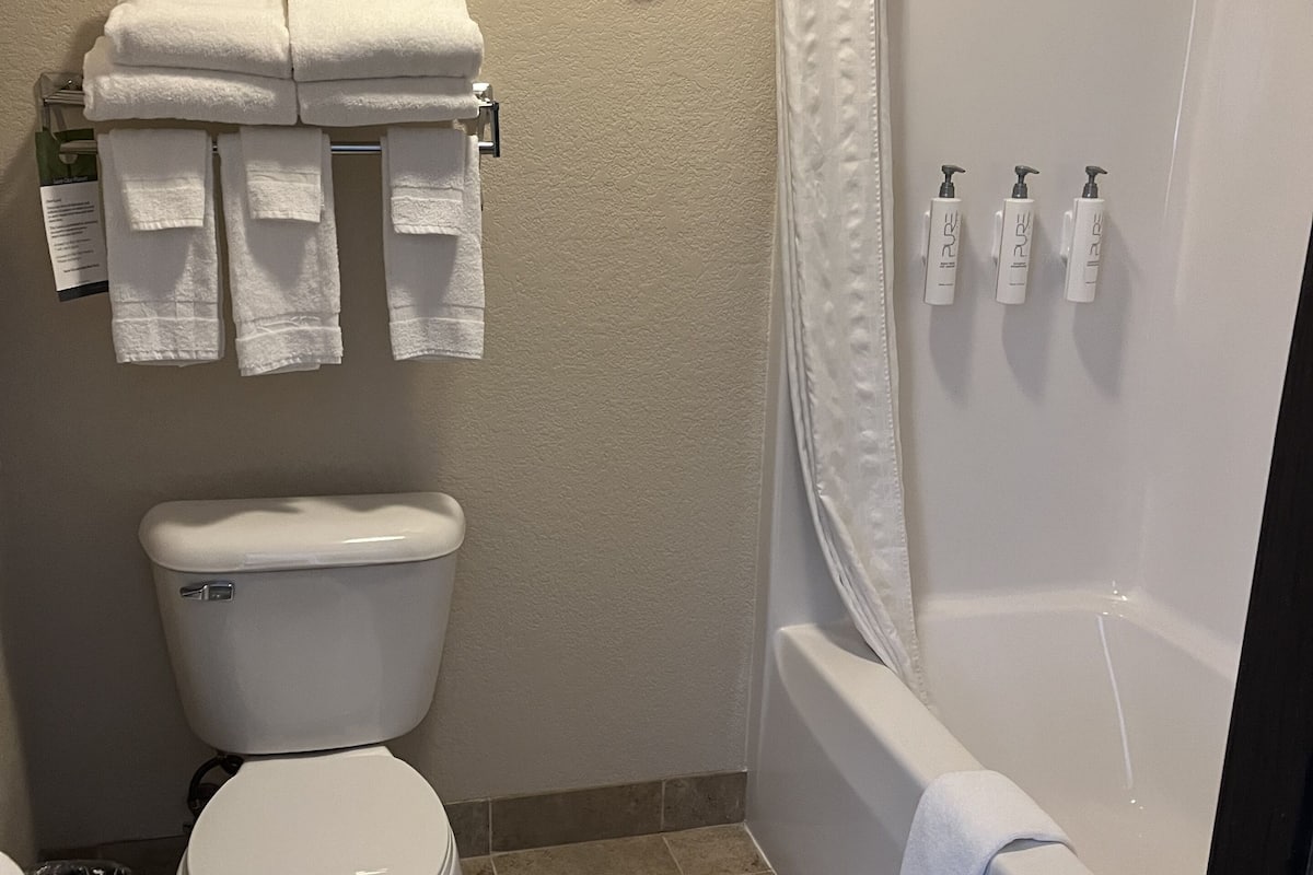 combined shower/bathtub, free toiletries, hair dryer, towels