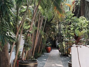 传统套房 | 客房景观