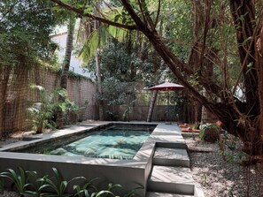 Una piscina rectangular con escalones de acceso, rodeada de abundante follaje y una valla de bambú.