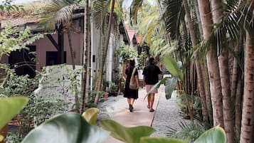 Ecotours