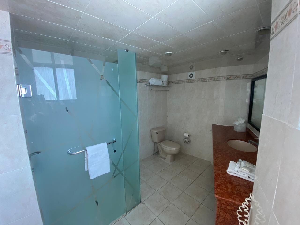 shower, free toiletries, hair dryer, towels