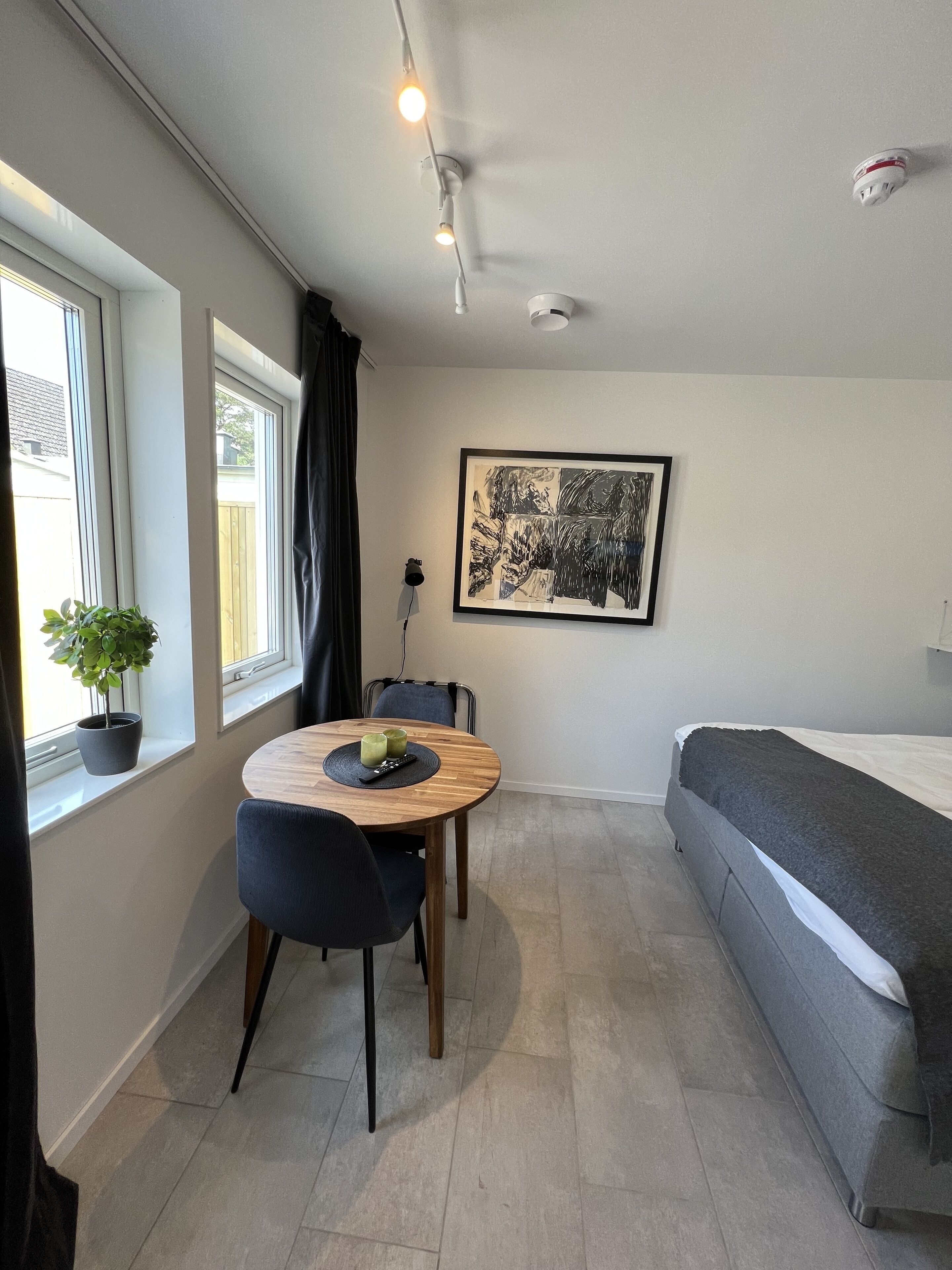 A compact room with a bed, a dining table with chairs, a potted plant, a framed artwork, and a ceiling light fixture.