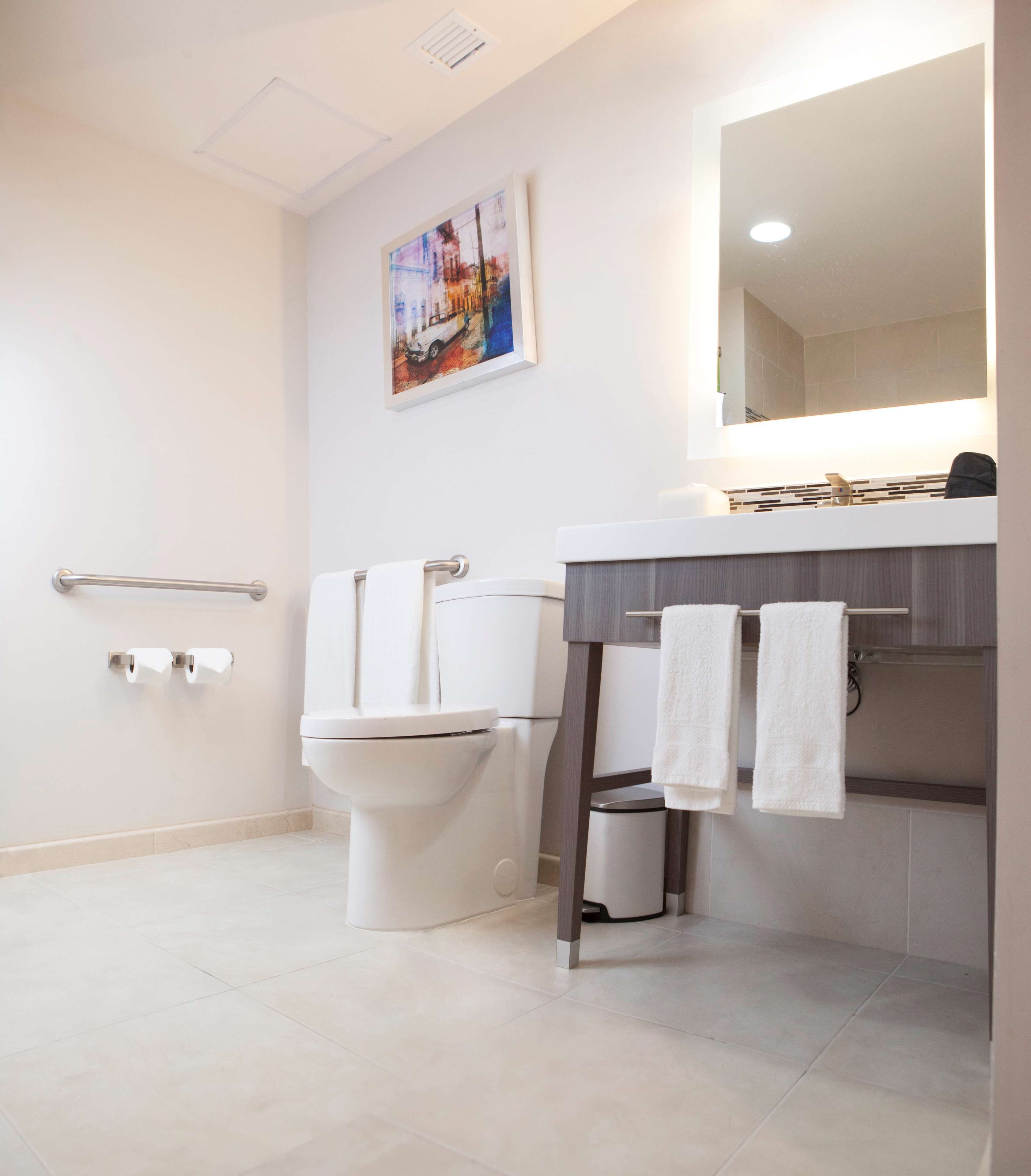 room, accessible, non smoking (roll-in shower) | bathroom | free toiletries, towels