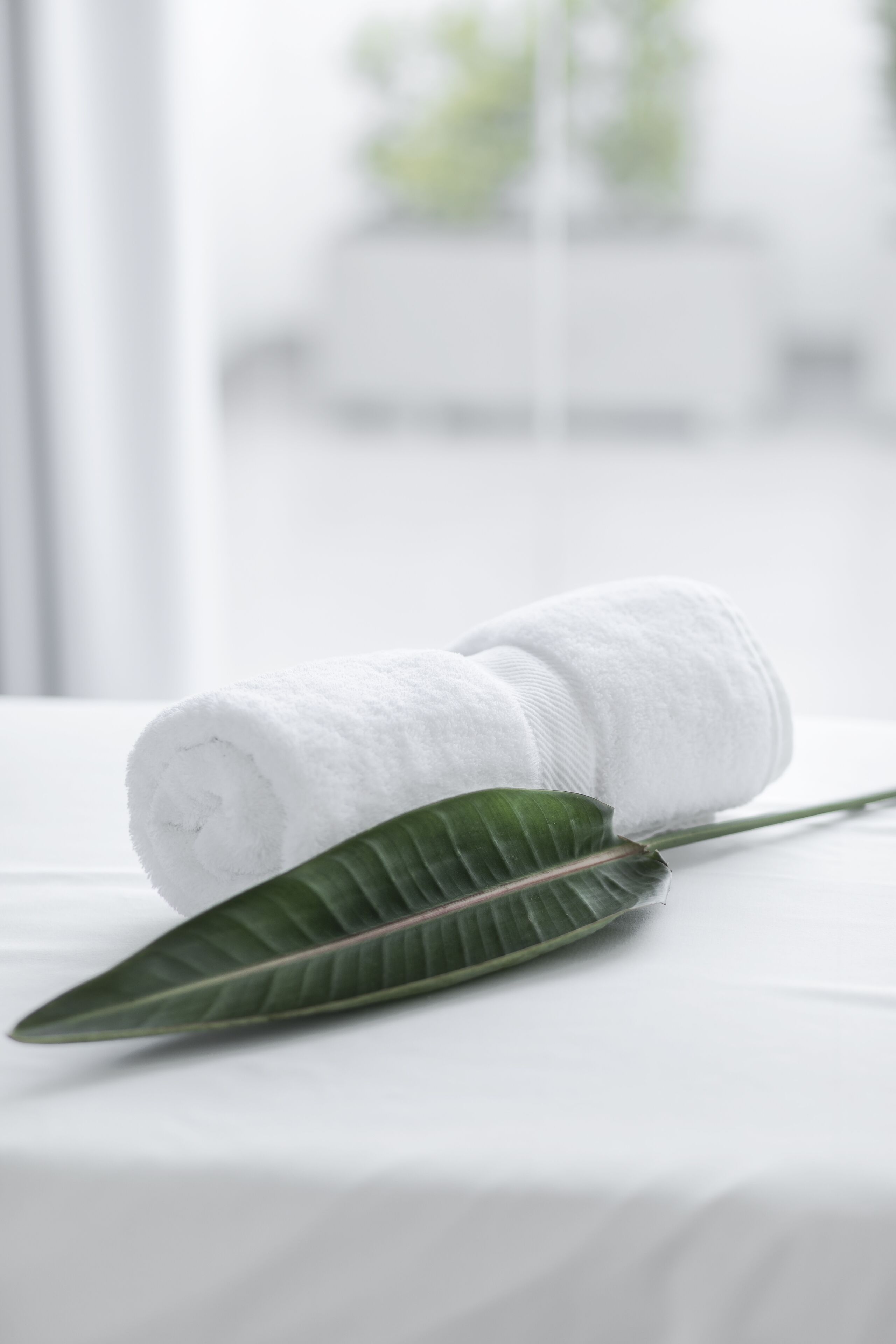 Una toalla blanca enrollada con cuidado y una hoja verde sobre una cama blanca.